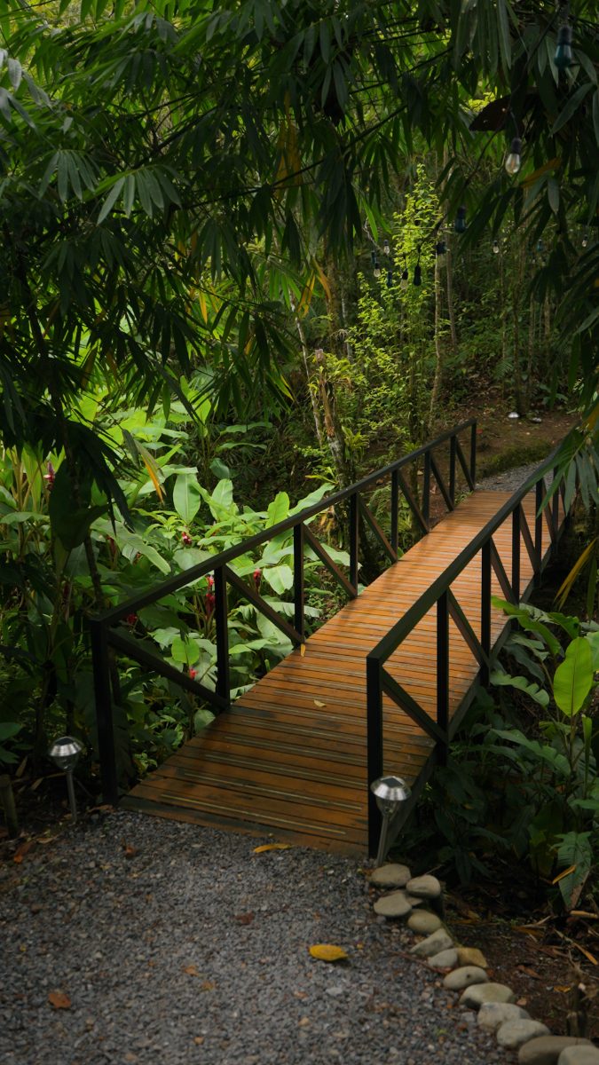 A path through the forest at Verdesana