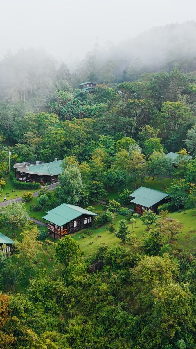 Cabins dotted along the hillside in cloud forest
